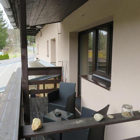 Pension Aura Spicak, Nektere Pokoje Se Saunou Železná Ruda Zewnętrze zdjęcie